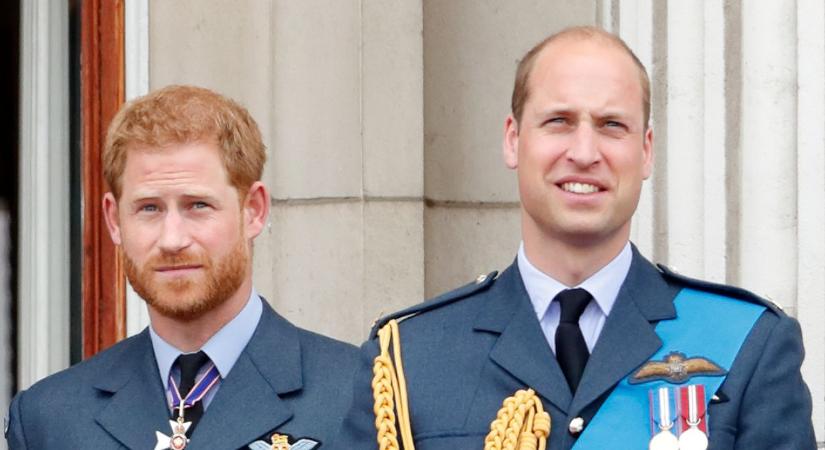 Ők Harry és Vilmos mostohatestvérei, akik köszönik, de tökéletesen elvannak a háttérben