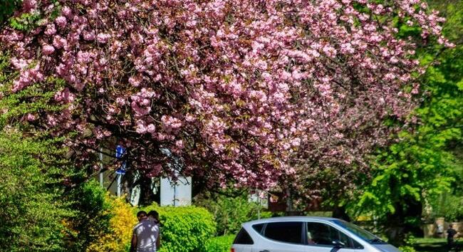 Megfordul az időjárás április 12-én? 40 napos trendváltás jöhet - vasárnapi előrejelzés