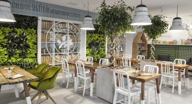 Zöldfalak: a természet kapcsolata a beltéri környezettel