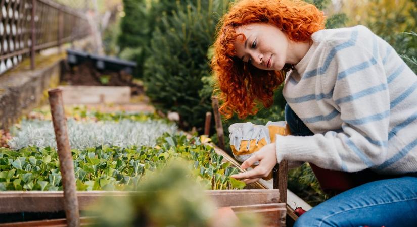 Időjárás 2026. április 12.: Fokozatosan melegszik, és csökken a felhőzet