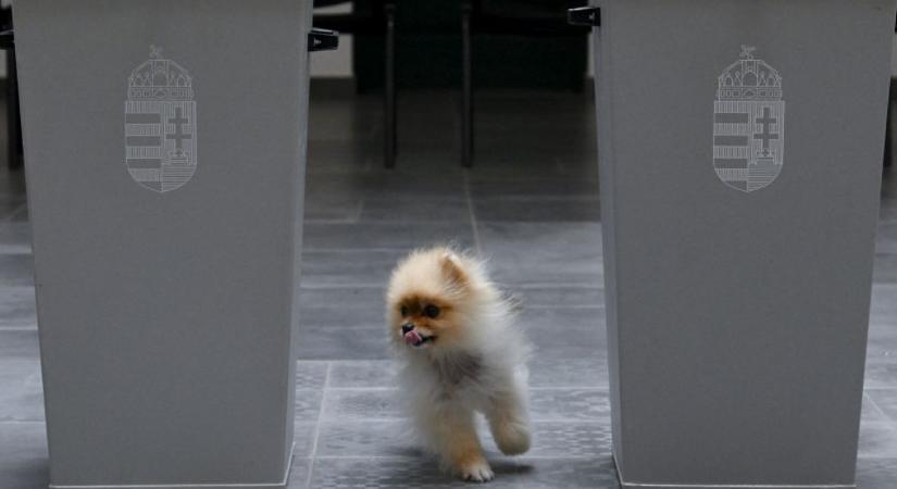 Ezen sok múlhat: itt van két beszédes adatsor az előző választásokról – A hét ábrája