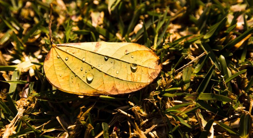 Bekeményít az időjárás! Újra itt az esernyők ideje!