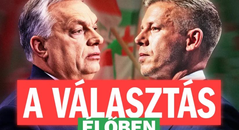 Indul a Telex egész napos választási műsora, élőben Bódi Mátyással