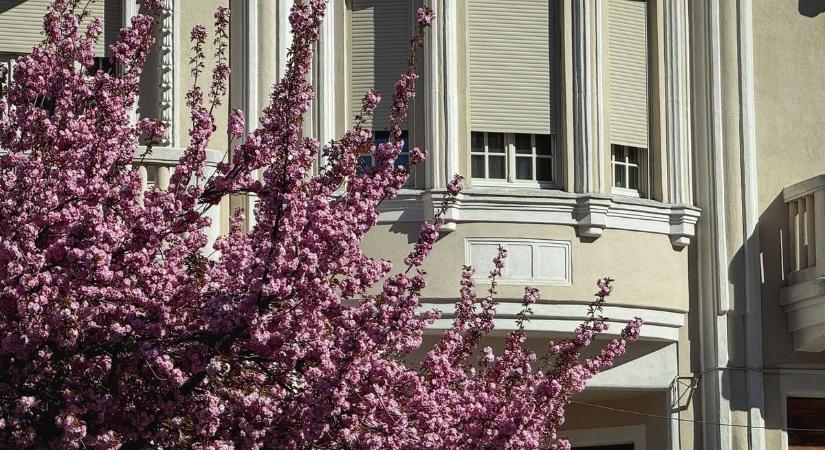 Kellemes meglepetést tartogat az időjárás vasárnapra