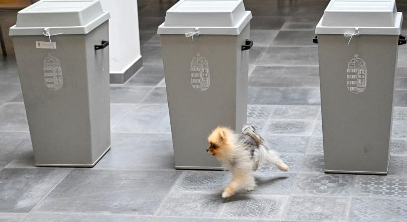 Választás 2026: országszerte kinyitottak a szavazókörök