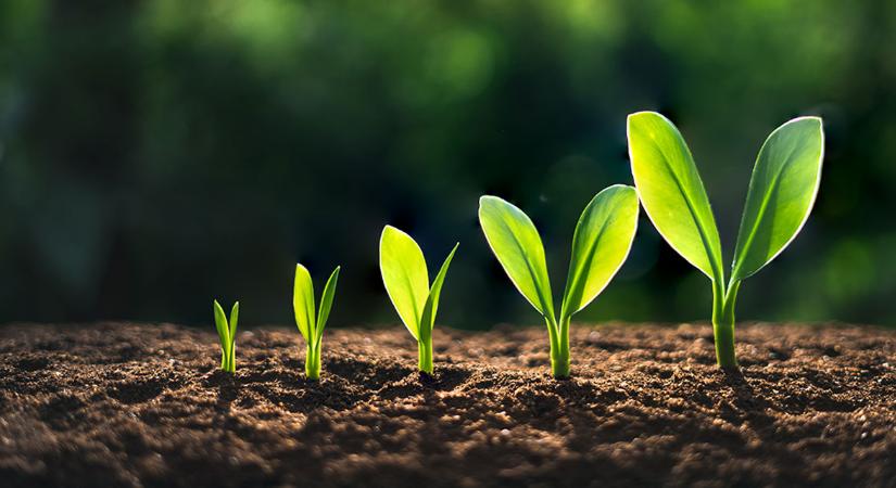 Compound: így kereshetsz kamatot kriptóval egy decentralizált hitelpiacon