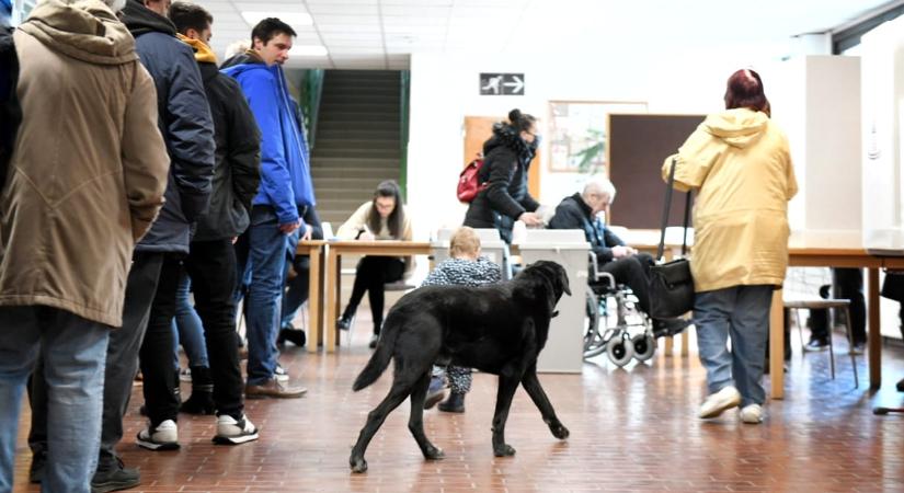 Ezekben a budapesti kerületekben lehet a legnagyobb sor a mai napon: több mint 9000-en jelentkeztek át