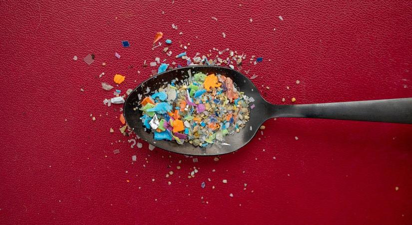 Tudósok felfedeztek egy ételt, amely segít „kiüríteni” a szervezetből a mikroműanyagokat