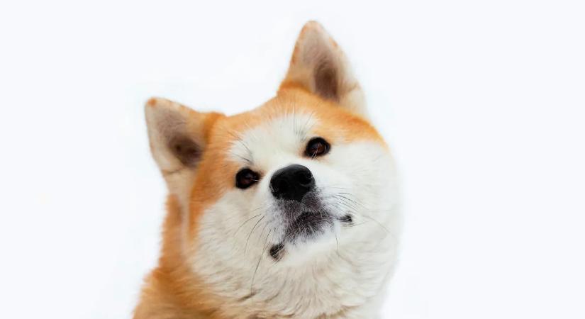 „Nélküle semmi vagyok” – A népszerű színésznő zokogva vallott arról, mi mentette meg