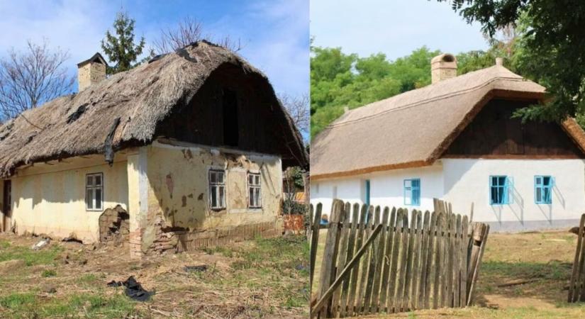 A pusztulás szélén állt, de Nyíregyházán megmentették