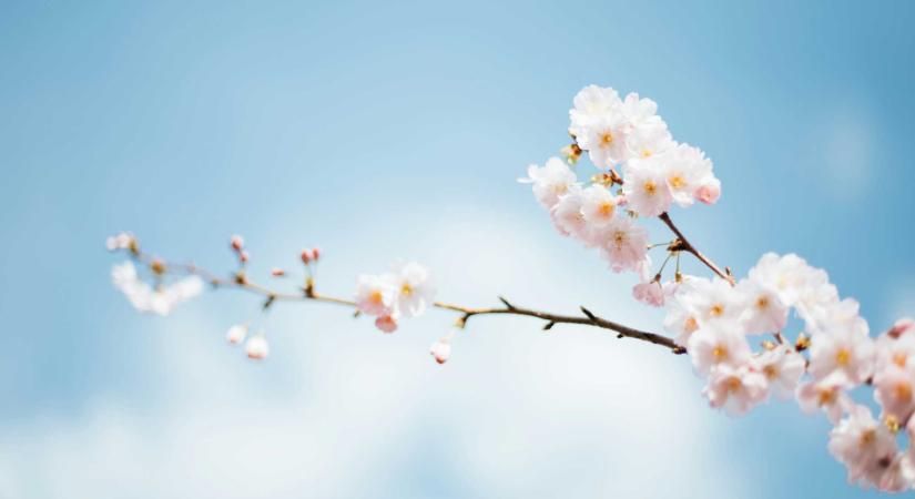 Rövid csapadékos időszak következik, aztán kedvezőbbre fordul az időjárás