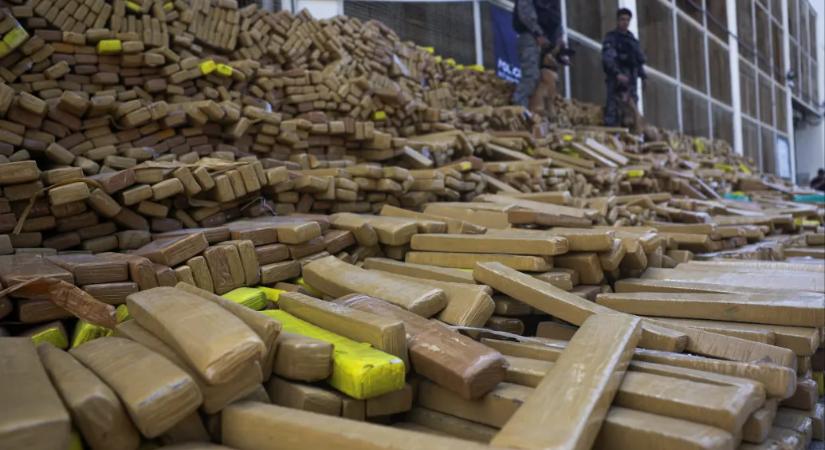 Egy brazil rendőrkutya 48 tonna marihuánát szagolt ki