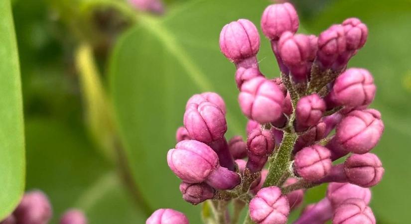 Hidegrekordok dőltek meg, de vasárnap kegyes lesz hozzánk az időjárás