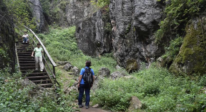 Bakonyi tanösvények: 5 mesés útvonal, amit látnod kell tavasszal