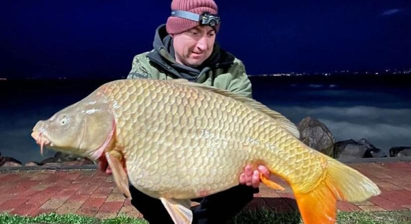 Emberméretű pontyok akadtak horogra a Balatonnál – elképesztő fogásokról számoltak be a horgászok