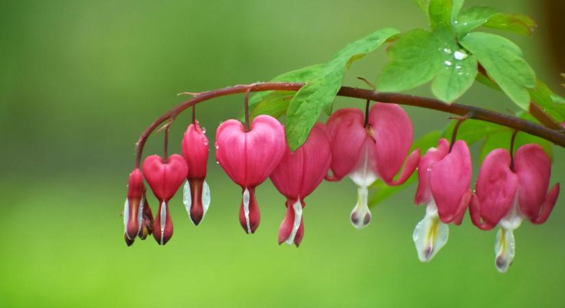 Vajon beborul az ég a választás napján? Most kiderül, mit tartogat számunkra a vasárnap!