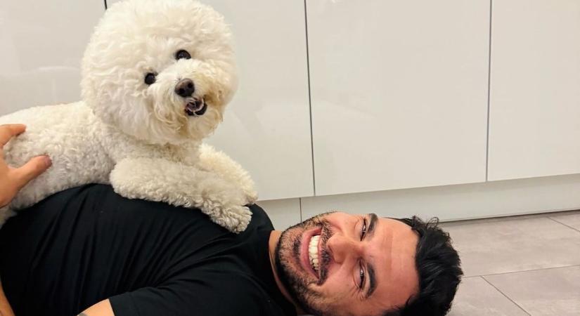 Kötelező veszettség elleni eboltás egy nappal a választás után