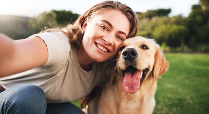 Nem ismert akadályt: a rettegését legyőzve mentette meg gazdája életét a hős kutya a halálos roham közben