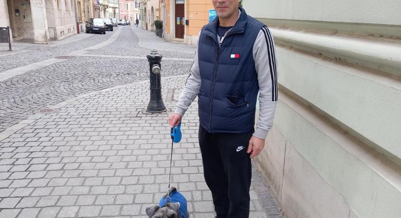 Választás 2026: négylábú kísérővel is érkeztek a soproni szavazókörbe