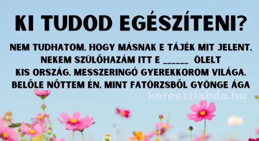 Napi irodalom feladat: Kötelező volt, de a legtöbben kihagyják ezt a szót belőle