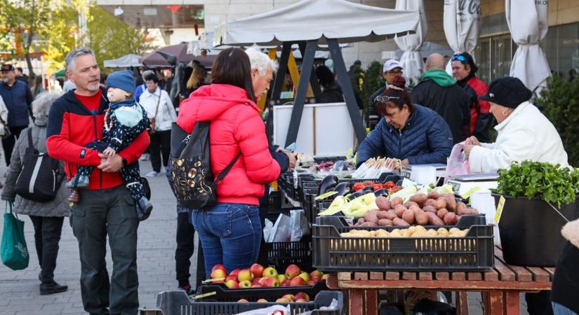 Sajt és birkapörkölt? Naná! Fotókon mutatjuk a Helyi Termékek Vásárának hangulatát