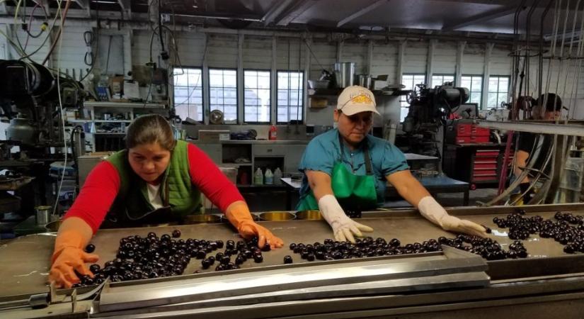 A feldolgozóiparban több, mint 11 ezer személy veszítette el a munkáját