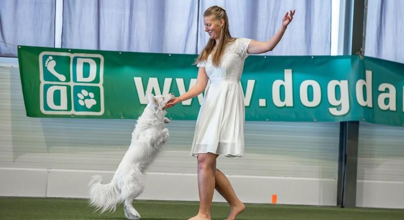 Egy siket és vak kutya lett a táncparkett királynője - ezt mondja róla gazdija