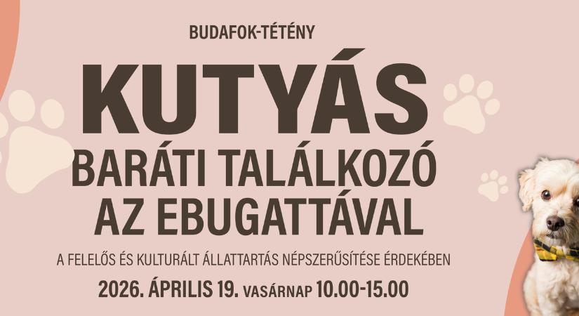 Kutyás piknik, szakértői programok és jótékonyság