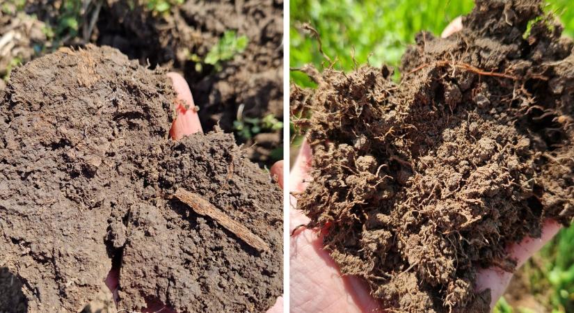 Vigyázat, negatív spirál! Így teszi tönkre a kényszerű művelés a talaj vízháztartását