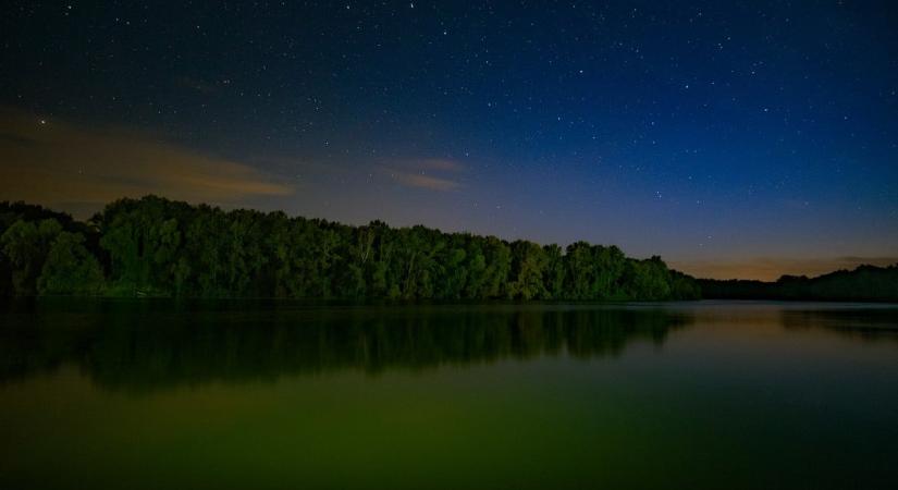 Gigaponty: hat hónap alatt másodjára emelték ki a Tiszából
