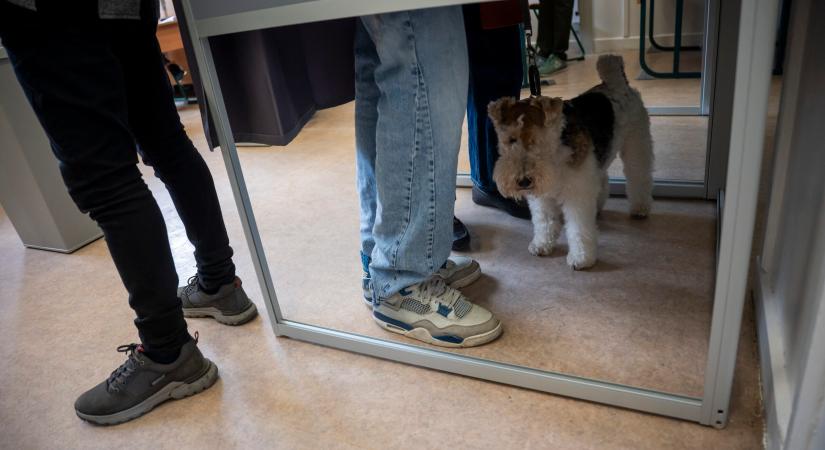 Meg kell semmisíteni a választók adatairól szóló pártnyilvántartásokat