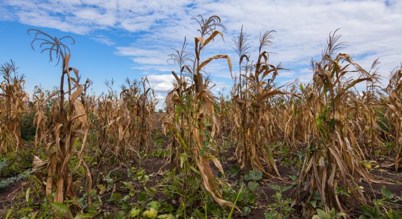 Nagyon rossz hírt közöltek a meteorológusok