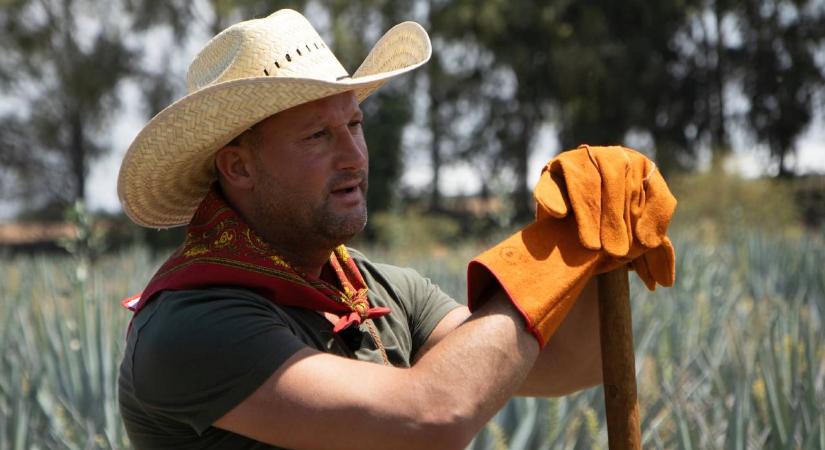 Alekosz merevrészegen lövöldözne az utcán a riasztópisztolyával, ha győzne a Tisza