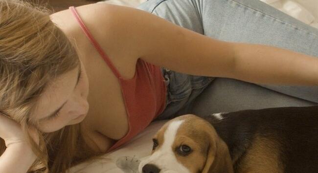 Tudtad? A lakásban tartott kutyák is lehetnek boldogok - szabályok, fajták és fontos tudnivalók