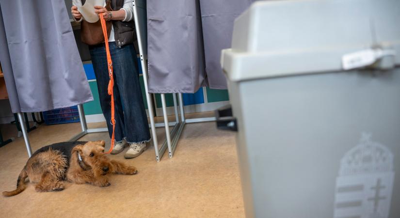 Az amerikai kutató szerint a Fidesznek kedvez a magas részvétel