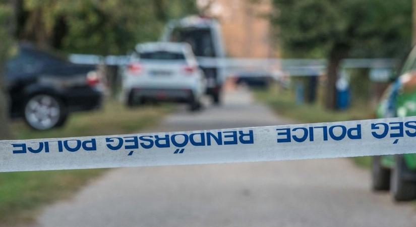 Olyan súlyosan bántalmazta édesapját, hogy a helyszínen életét vesztette