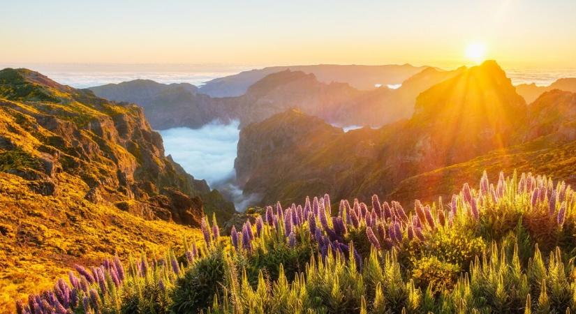 Túrázás, bor és luxus egy helyen – már ma este repülőre ülnénk érte