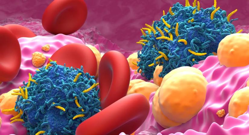 Három halálos kórban szenvedett egyszerre, aztán jött a váratlan fordulat