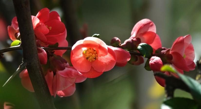 Napsütésből felhőkbe: így alakul a hétfői időjárás