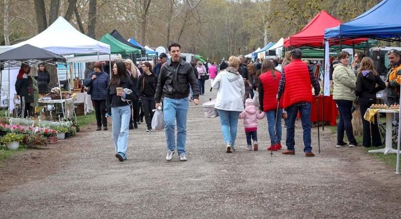 Szavazás után Sötétvölgybe, a termelői piacra mentek a szekszárdiak (galéria)