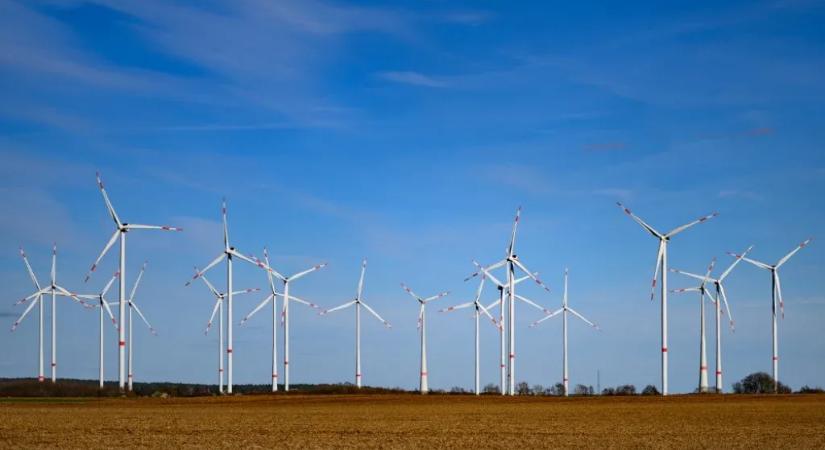 Közel sem esik áldozatul annyi madár a szélturbináknak, mint azt eddig gondoltuk