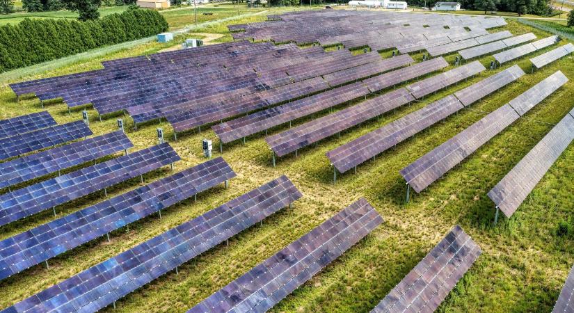 Juhokkal a rezsiválság ellen: Új aranybánya a napelempark