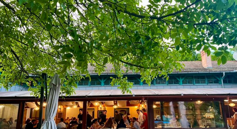 Egy hajóban eveznek