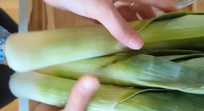 Ez a szegény magyar ember spárgája: még finomabb is és tápláló, ráadásul csak harmad annyiba kerül