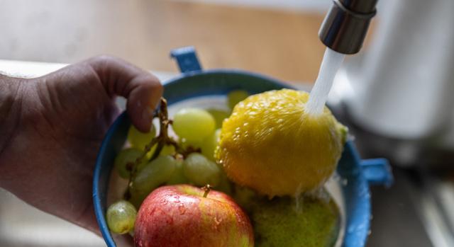 Malus domestica, Pyrus communis: tudod, milyen gyümölcsöket jelölnek ezek a latin kifejezések?