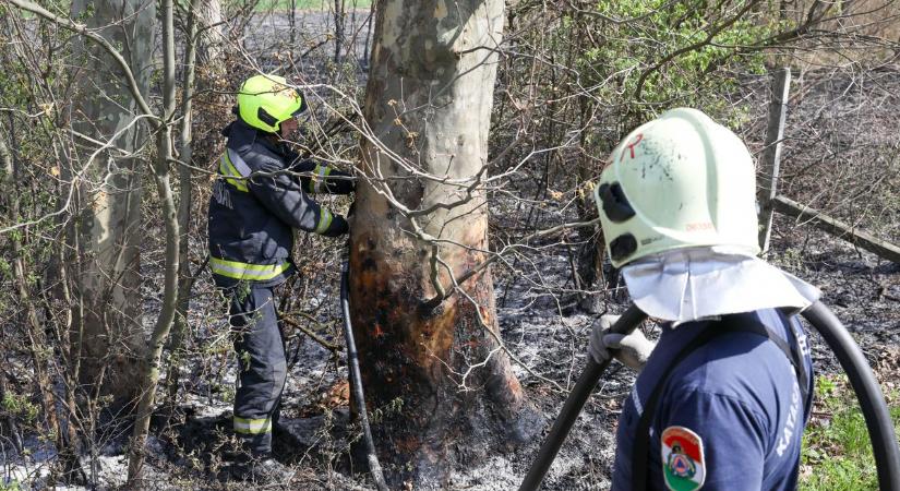 Tűz a 38-as főút mentén, a szerencsi tűzoltók siettek a helyszínre – fotókkal, videóval
