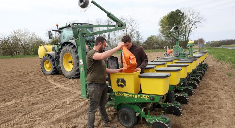 "Most még vetünk, aztán szavazunk" – Így telik a nap ezen a különös vasárnapon