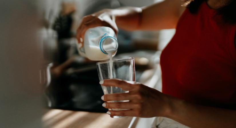 A rák rejtett csatlósa: egy vitamin segíti a tumorsejtek túlélését