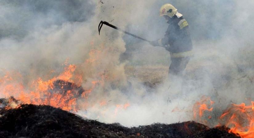 Lángol a nádas Tamásinál