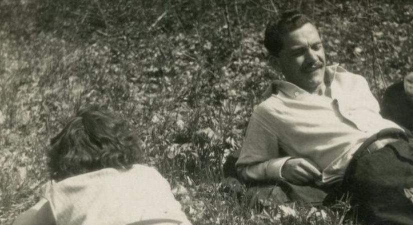 A magyar költészet napjai